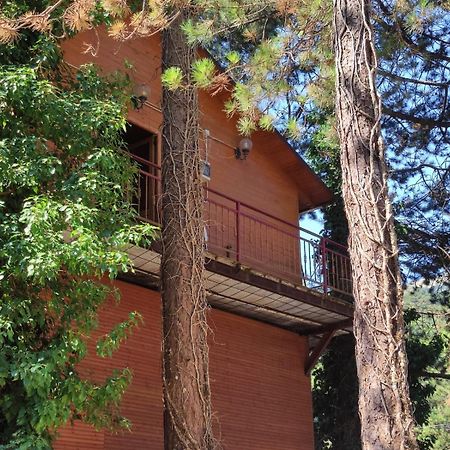 Hotel Toni Llogora Dukat Экстерьер фото