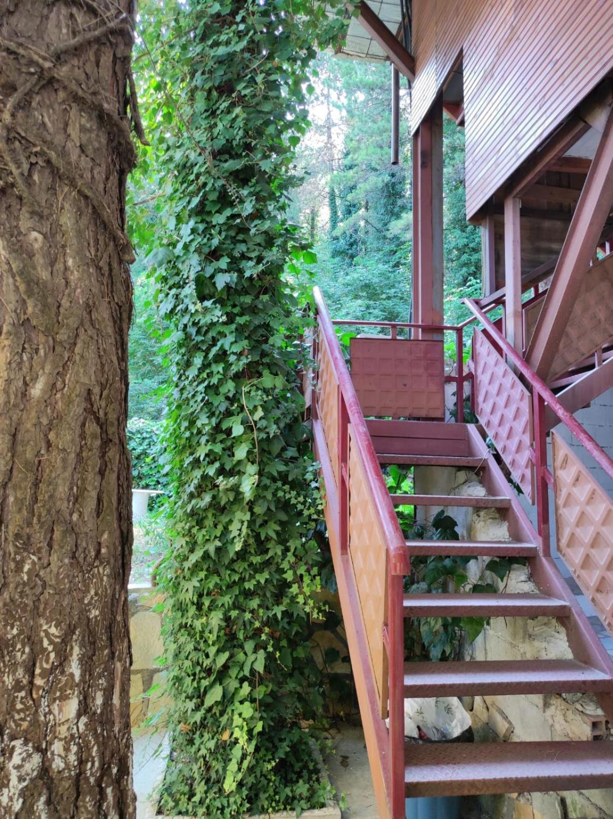 Hotel Toni Llogora Dukat Экстерьер фото